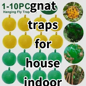 Top5 Best-selling gnat traps for house indoor